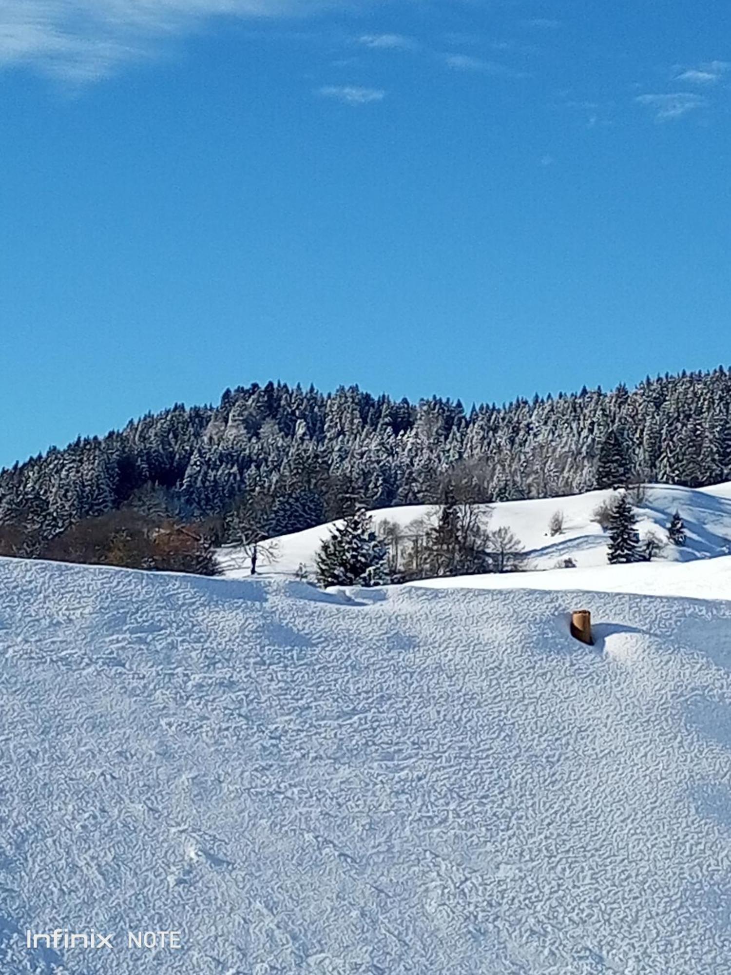 Allgaeu Vibes - Fusslaeufige Erreichbarkeit Vom Bahnhof, Mit Aussicht, Wettergeschuetzter Balkon Оберштауфен Экстерьер фото